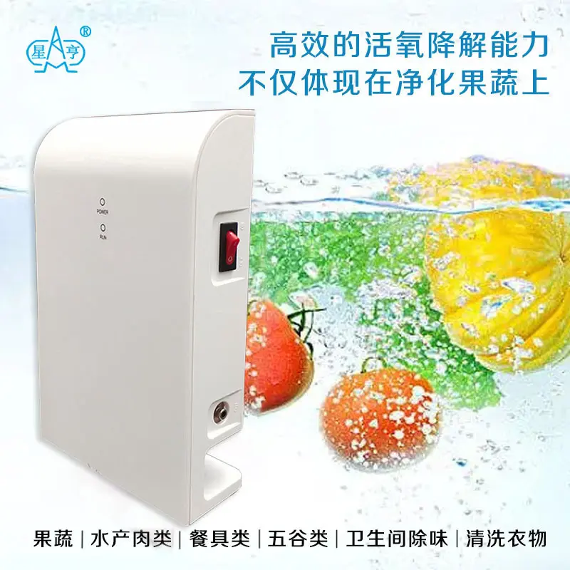 10g/h网玻璃臭氧管+臭氧电源