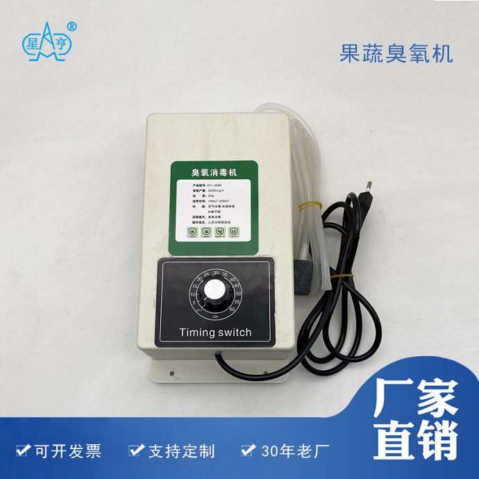 2000mg果蔬机家用蔬果清洗农药臭氧机