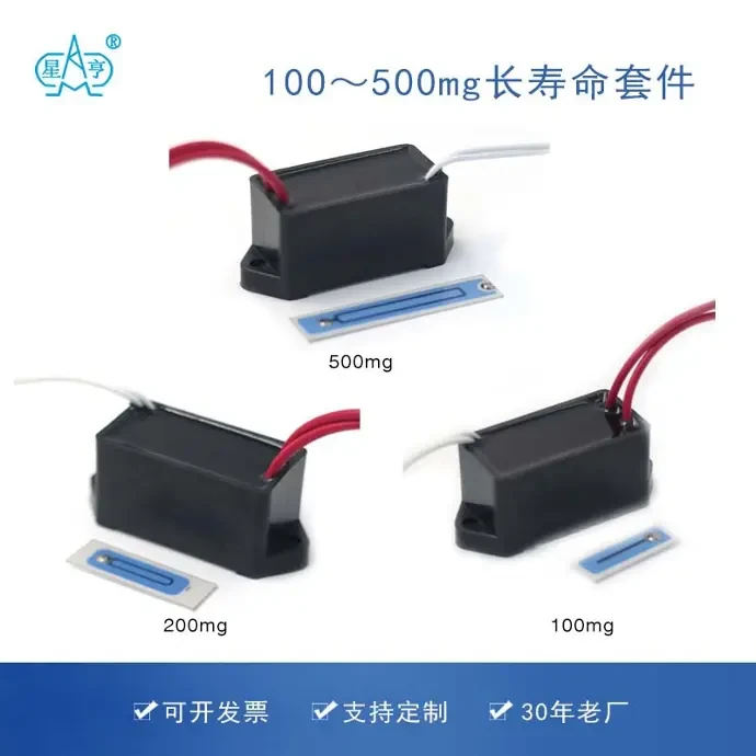 100mg/200mg/500mg臭氧发生器套件产品图