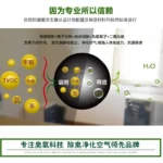 2000mg臭氧发生器，产品实物图5